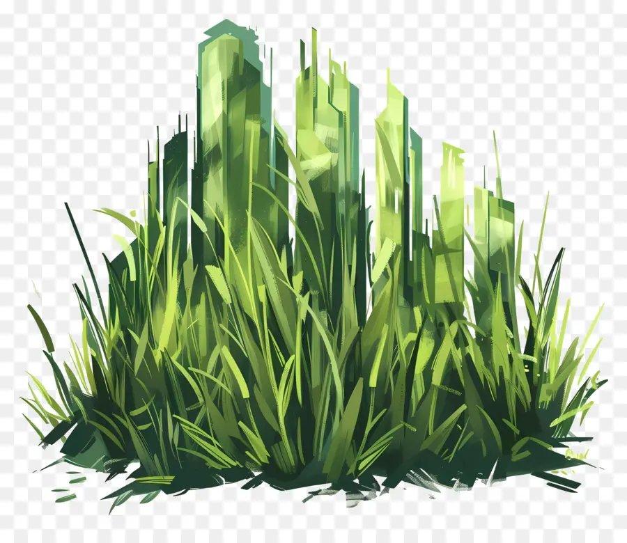 Le Vert De L'herbe，Pelouse Luxuriante PNG