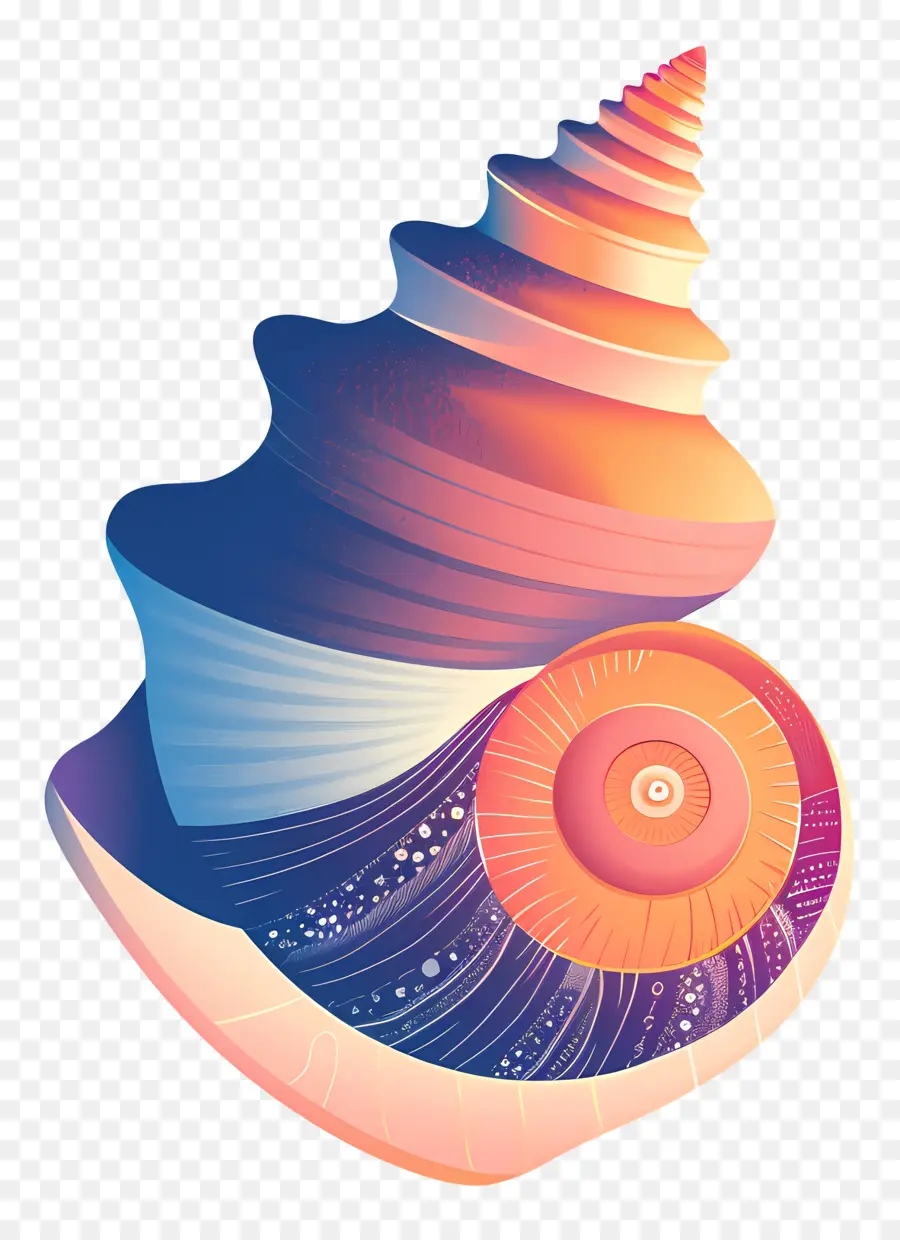 Shell，Coquille En Spirale PNG