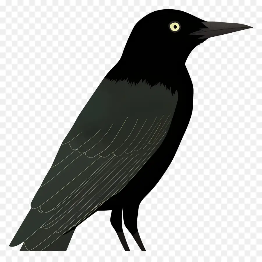 Oiseau，Crow PNG