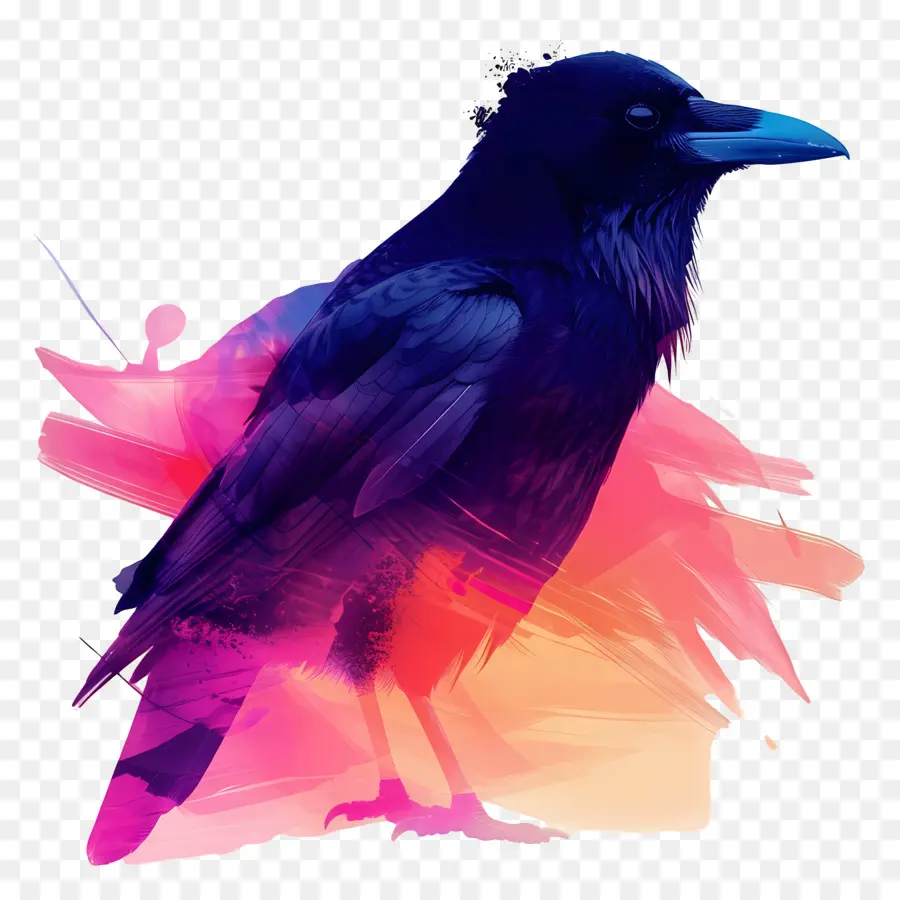 Crow，Ailes PNG