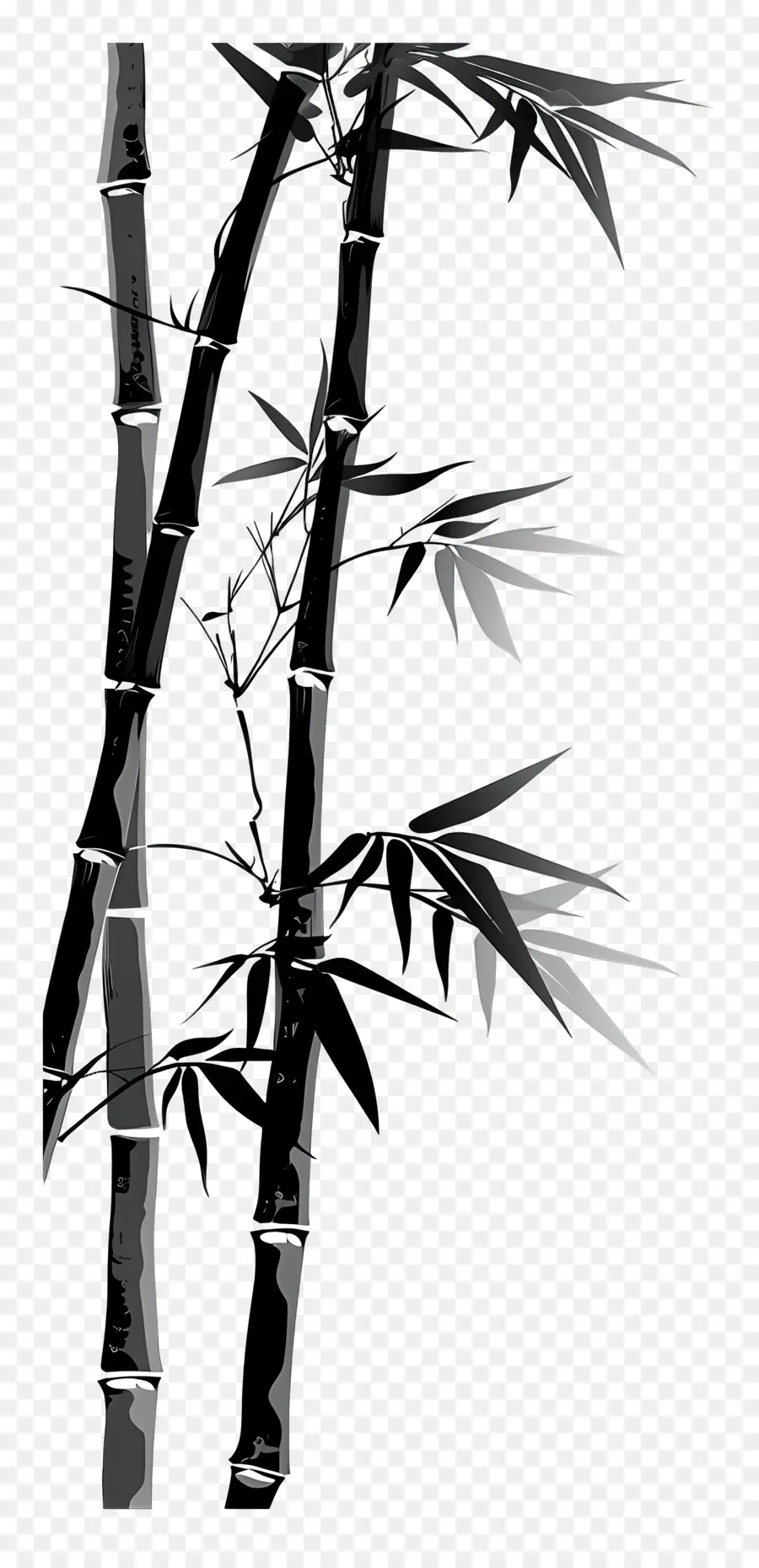 Bambou，L'arbre En Bambou PNG