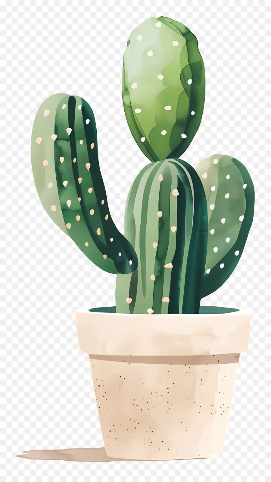 Cactus，Succulent PNG