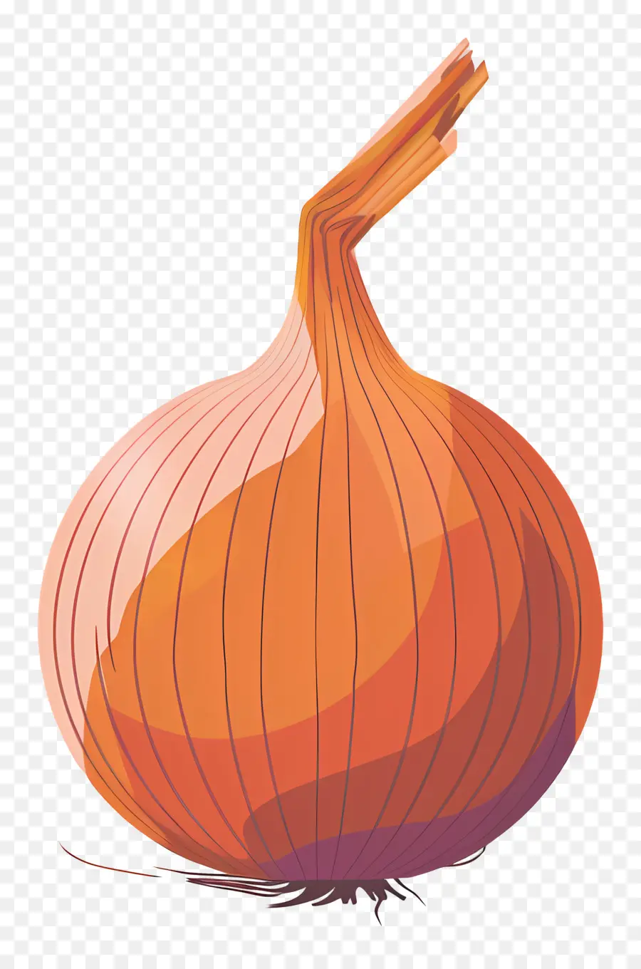 Oignon，Ampoule PNG