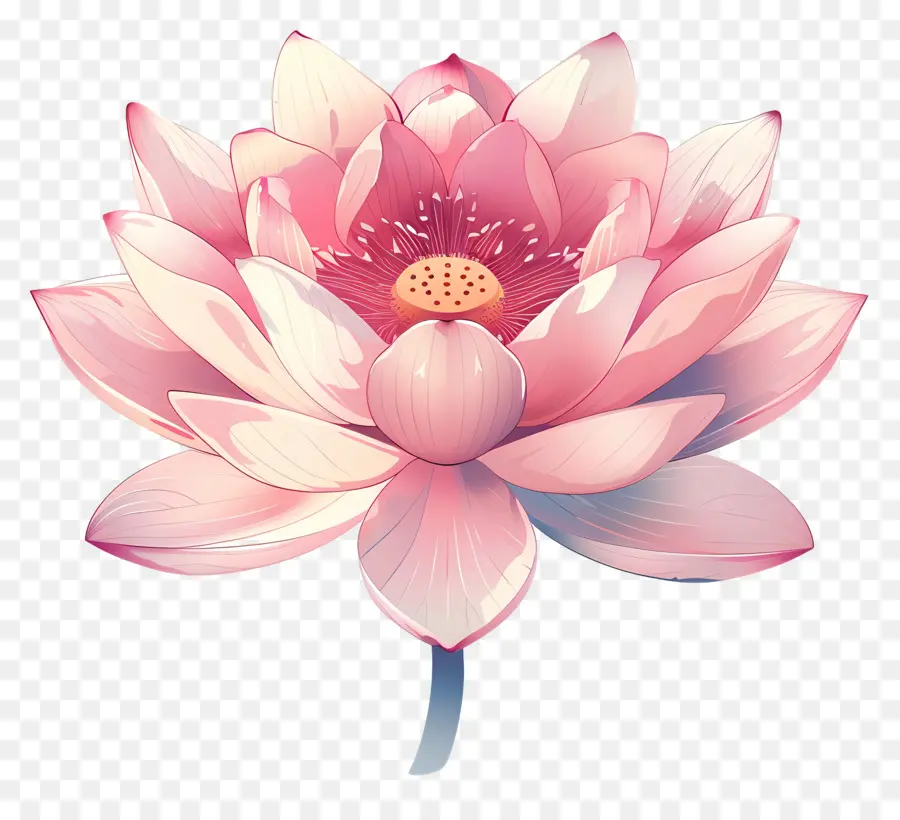 Fleur De Lotus，Rose PNG