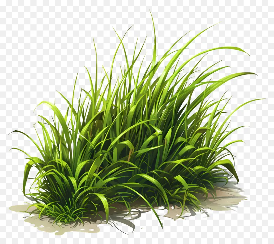L'herbe De La Terre，Pelouse Verte PNG