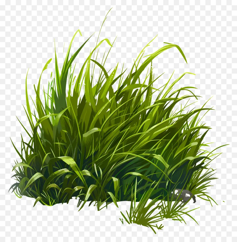 L'herbe De La Terre，Le Vert De L'herbe PNG
