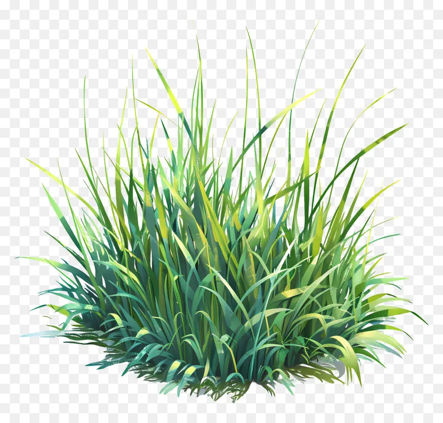 Le Vert De L'herbe，Plante Verte PNG