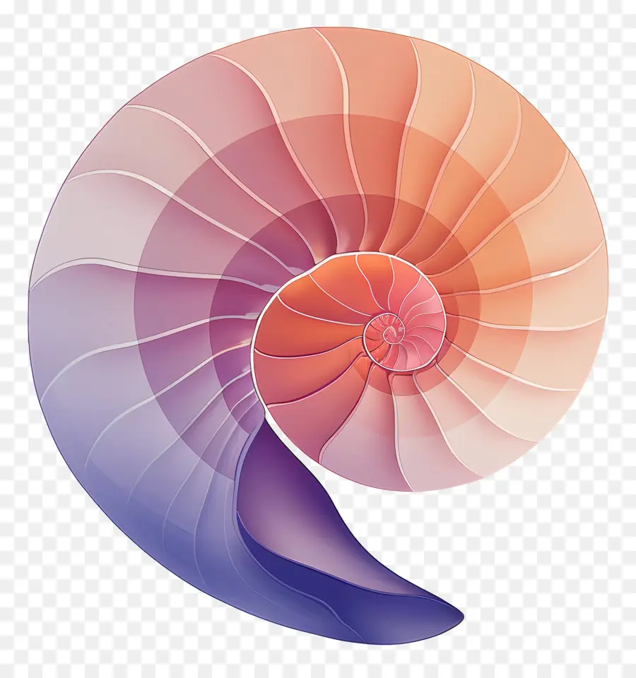Shell，Coquille En Spirale PNG