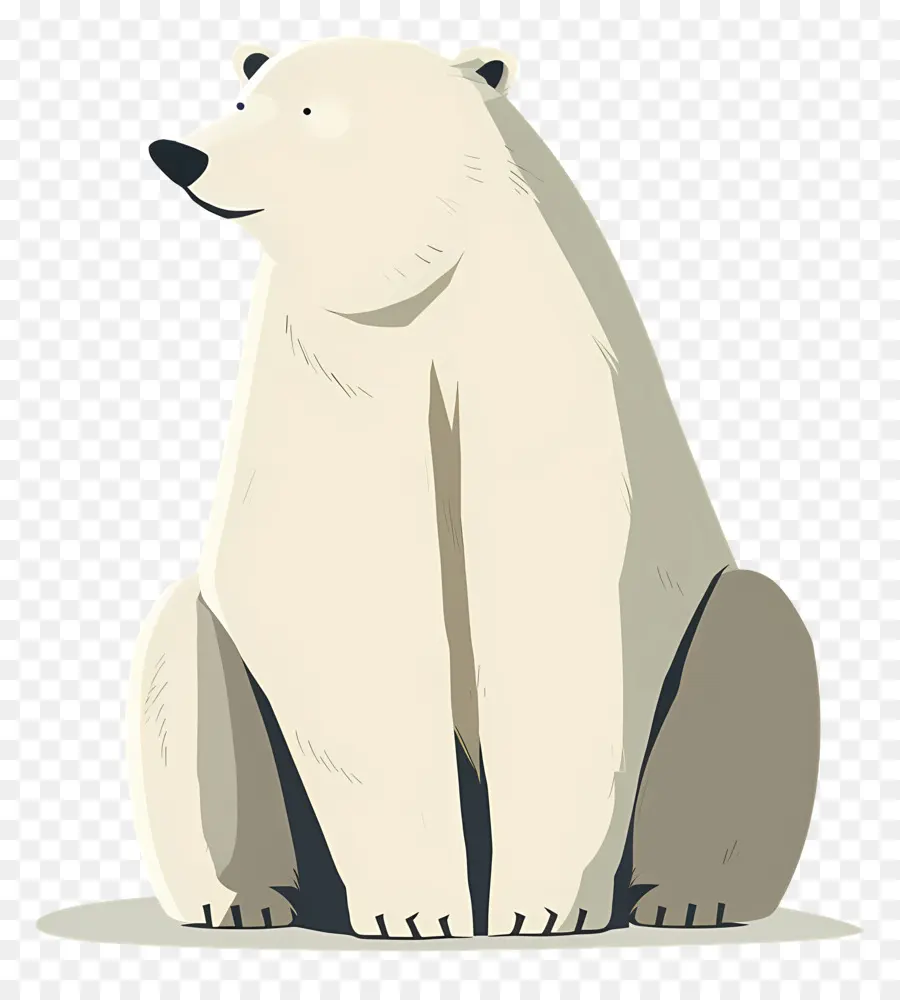 Ours，L'ours Polaire PNG
