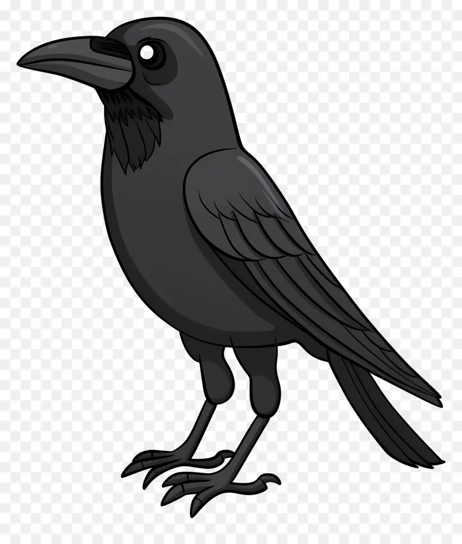 Crow，Corbeau Noir PNG