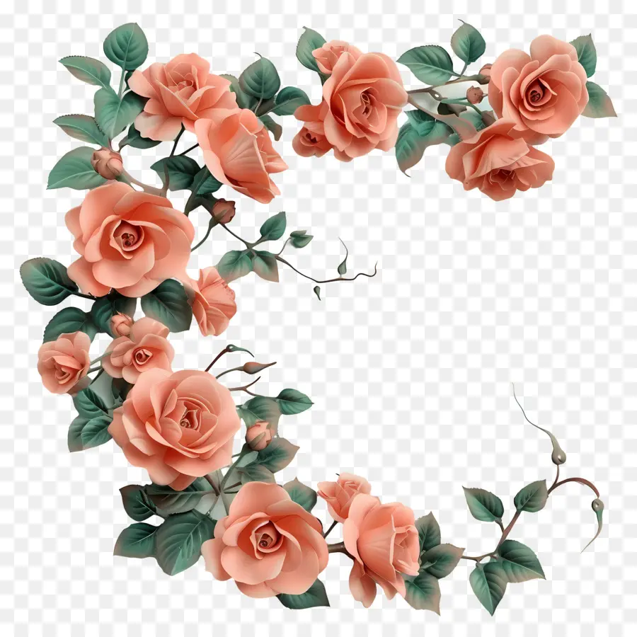 Roses De Jardin，Fleur Rose PNG