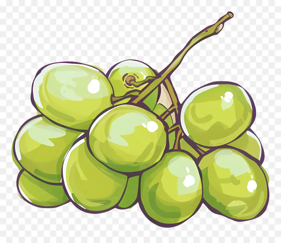 Raisins Verts，Fruits PNG