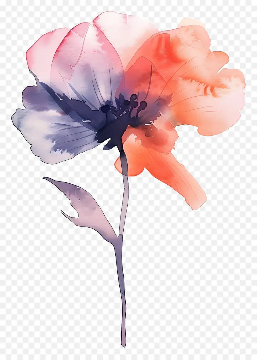 Aquarelle Fleurs，Fleur Peinture PNG
