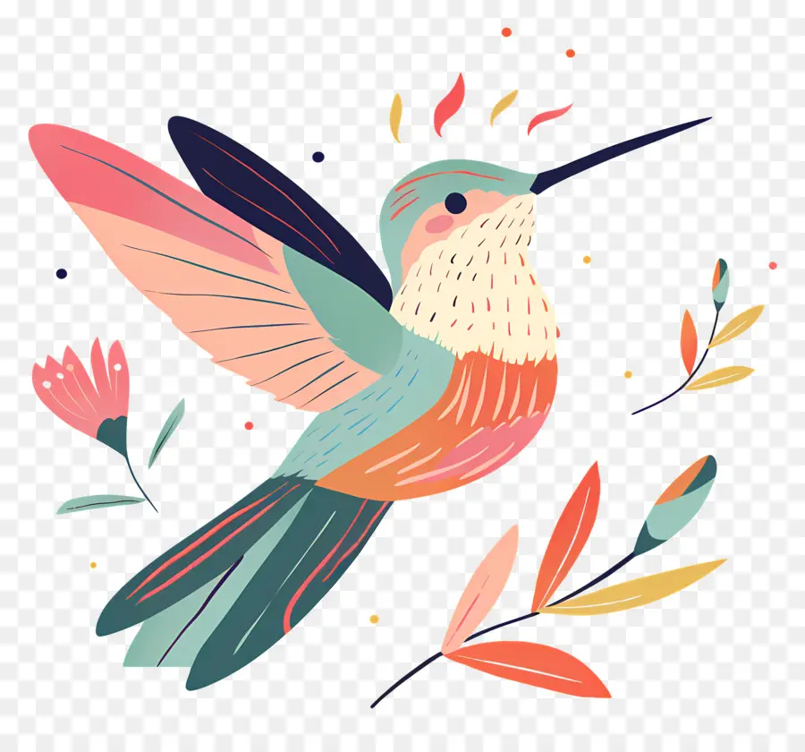 Colibri，Coloré PNG