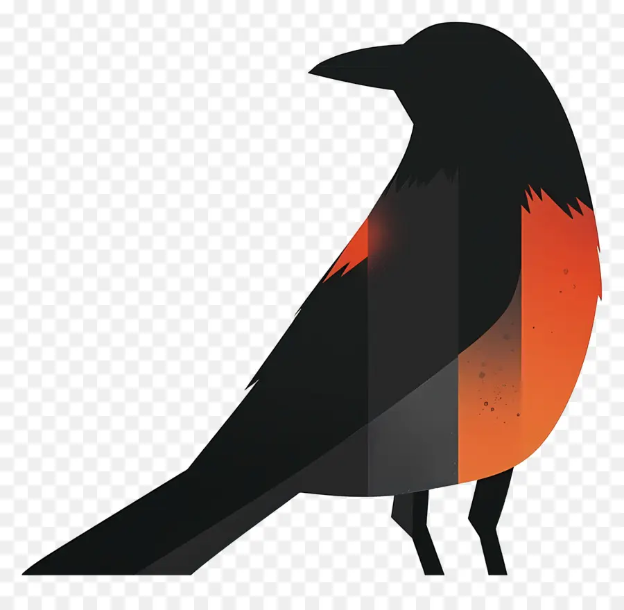 Crow，L'observation Des Oiseaux PNG