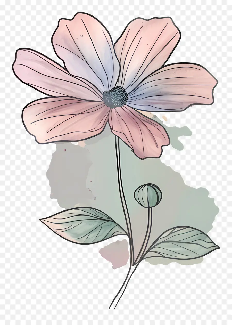 Doodle Fleur，Fleur Rose PNG