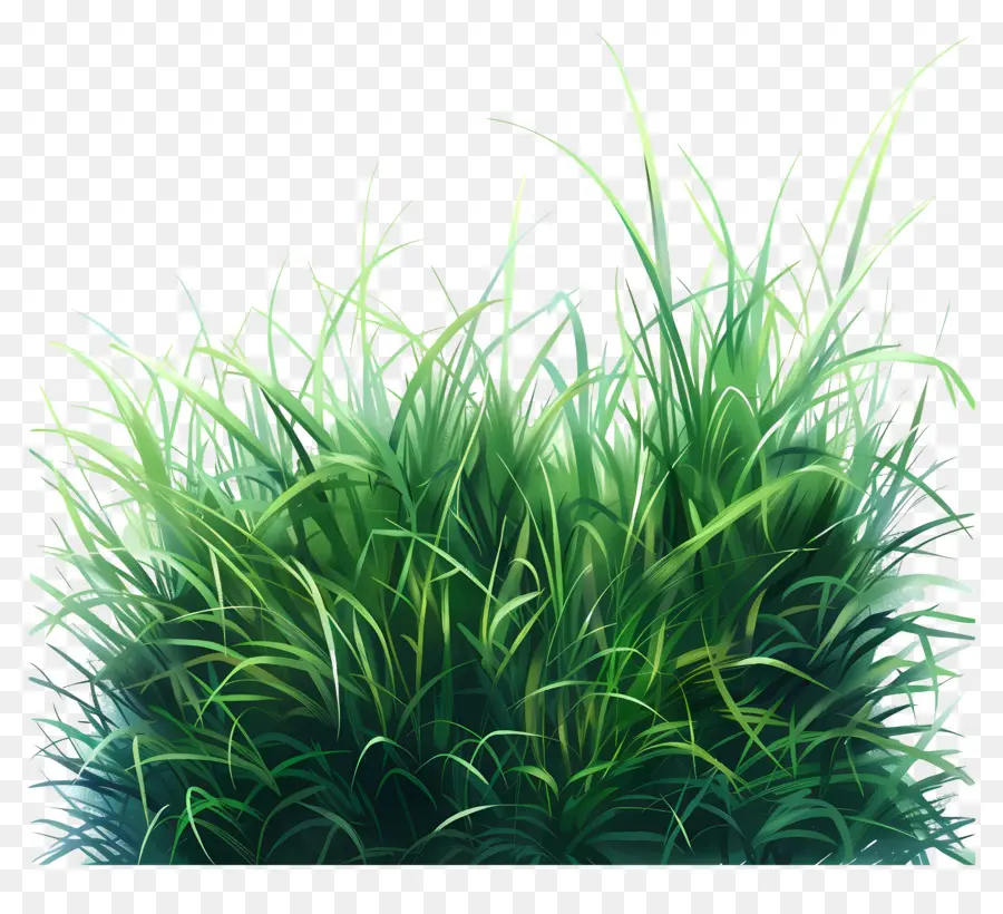 Terrain En Herbe，Le Vert De L'herbe PNG