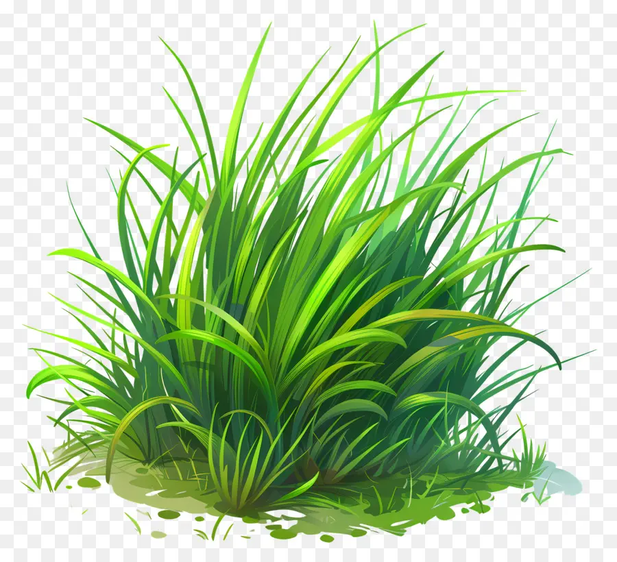 Le Vert De L'herbe，L'herbe Haute PNG