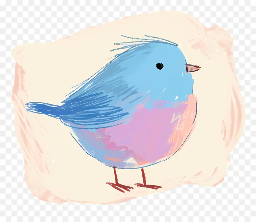 L'oiseau Bleu，Oiseau Coloré PNG