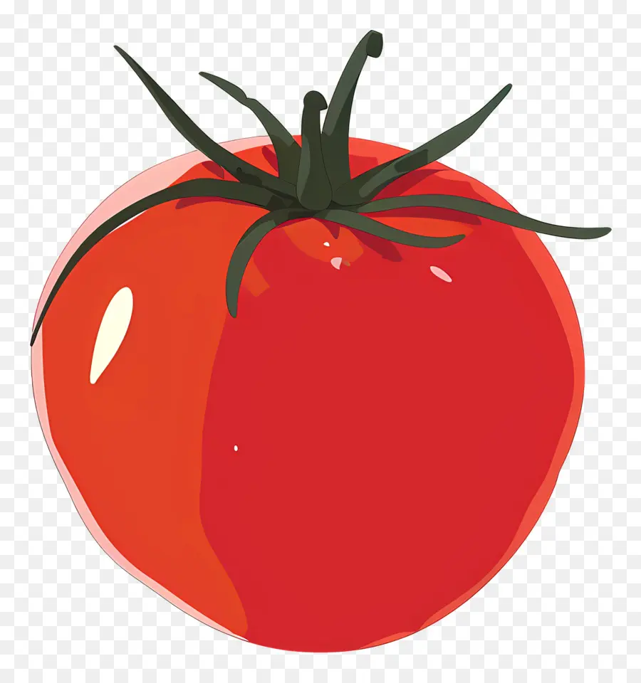 Tomate，La Morelle De La Famille PNG
