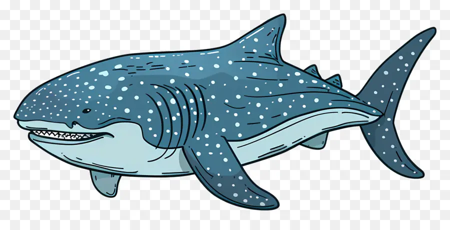 Requin Baleine，Dessin Animé Requin PNG