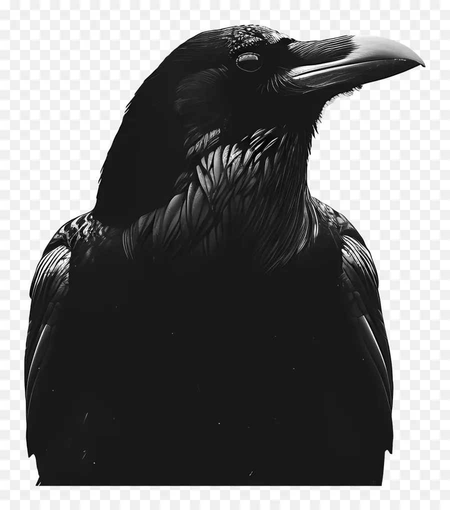 Raven，Oiseau PNG