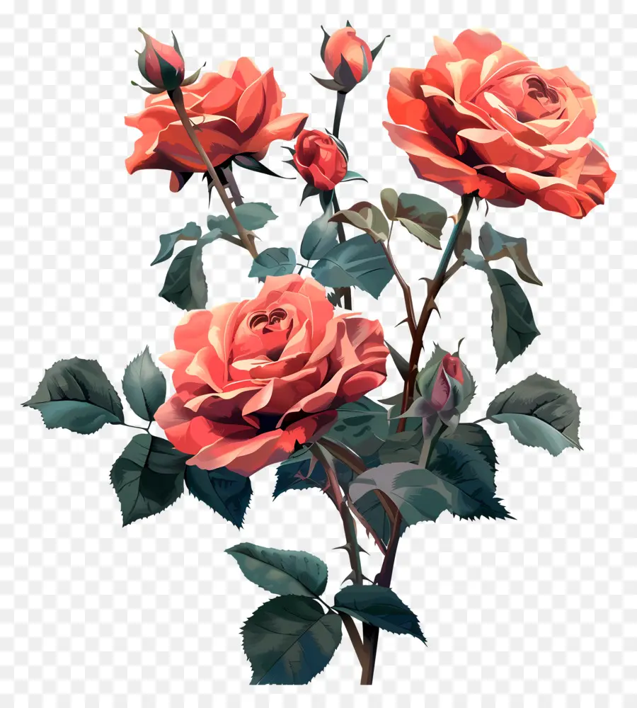 Roses De Jardin，Les Roses Roses PNG