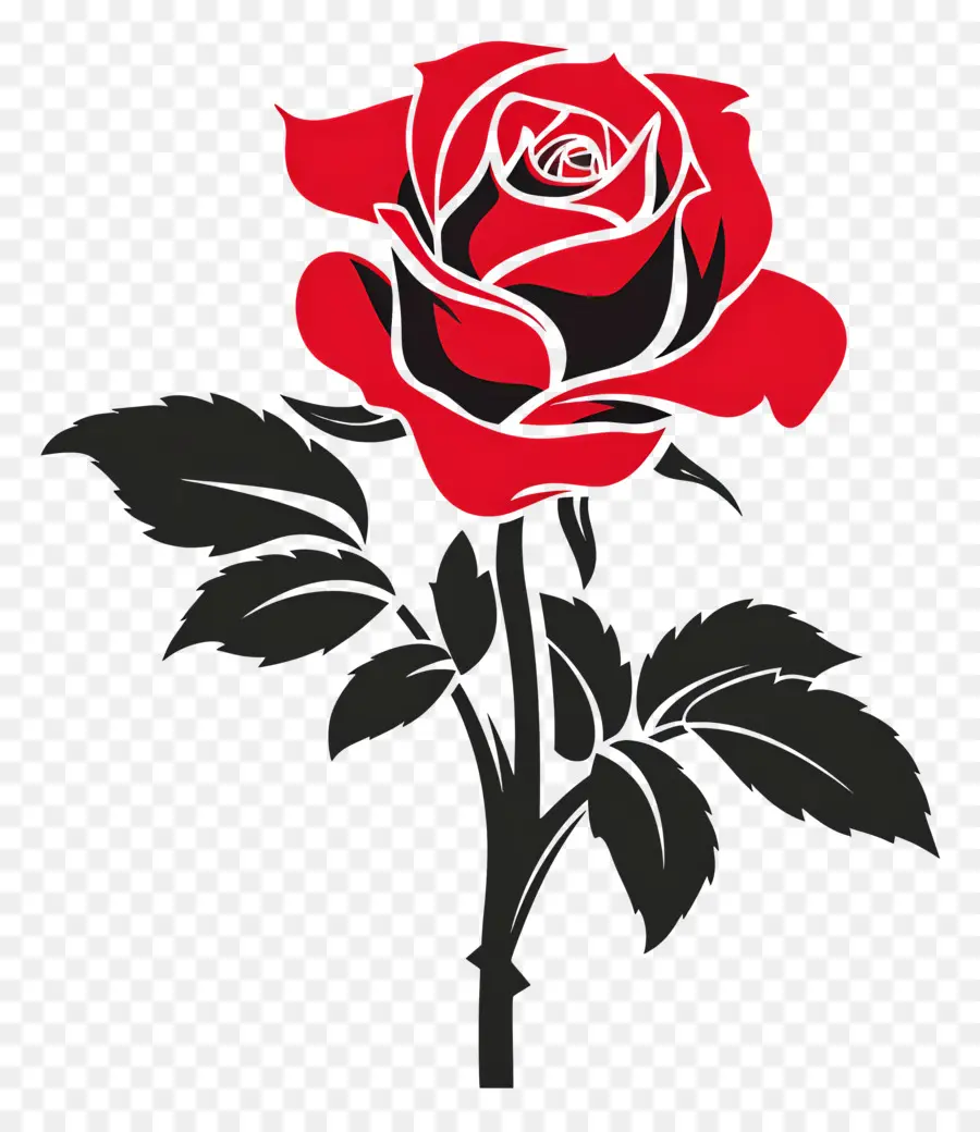 Roses De Jardin，Rose Rouge PNG