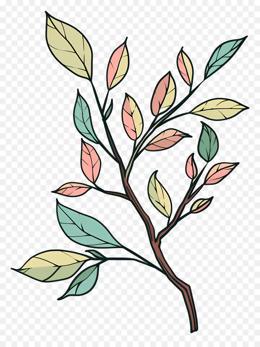 Branche D'arbre，Branche PNG