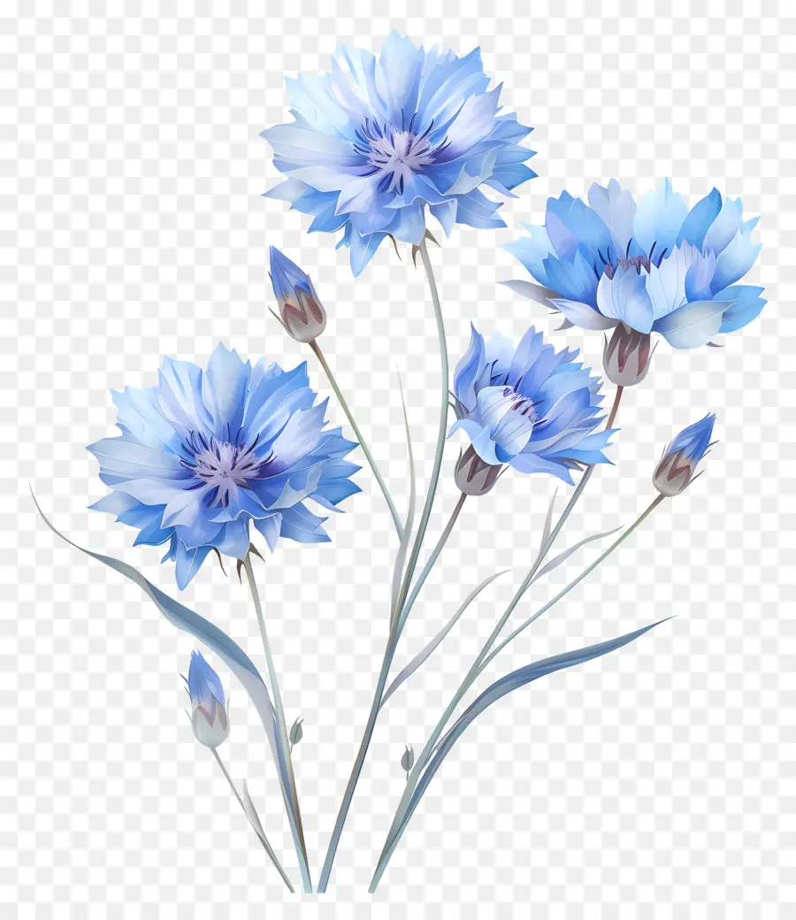 Bleuets Bleus，Fleurs Bleues PNG