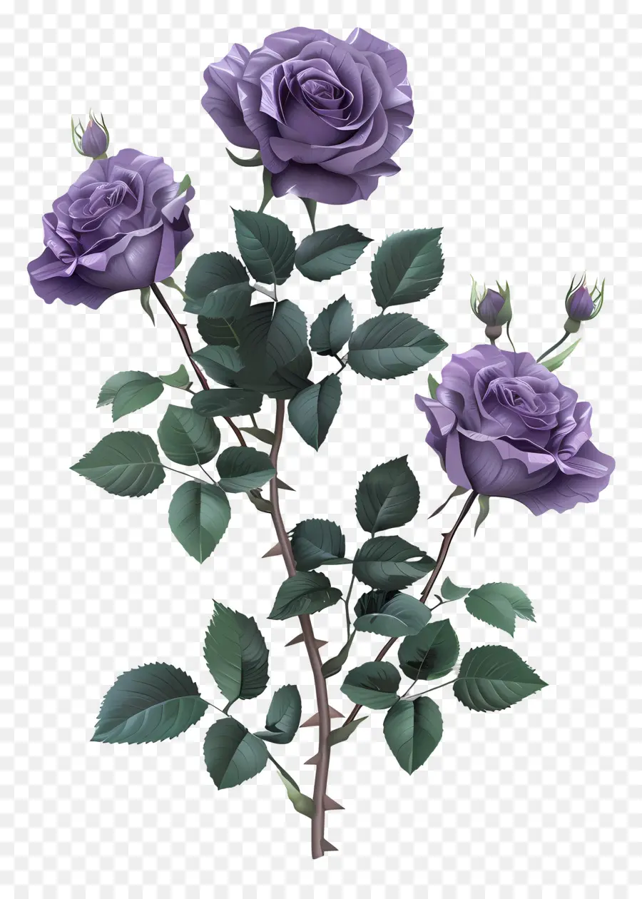 Roses De Jardin，Violet Bouquet De Roses PNG