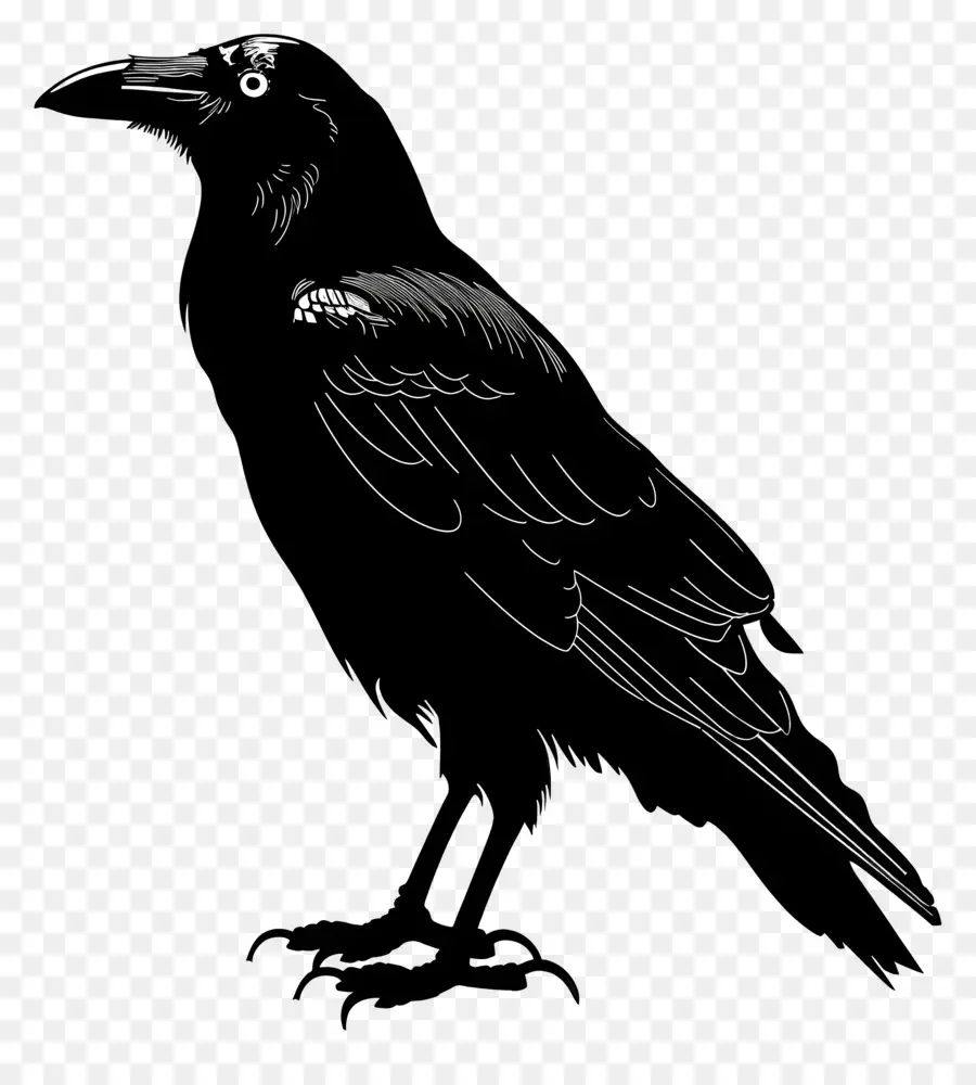 Silhouette De Corbeau，L'oiseau Noir PNG