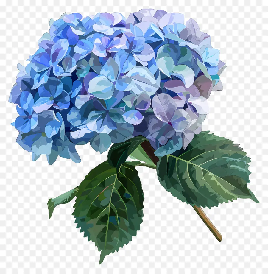 Art Numérique，Hortensia Bleu PNG