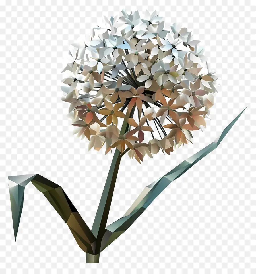 Fleur Numérique，Fleur Géométrique PNG