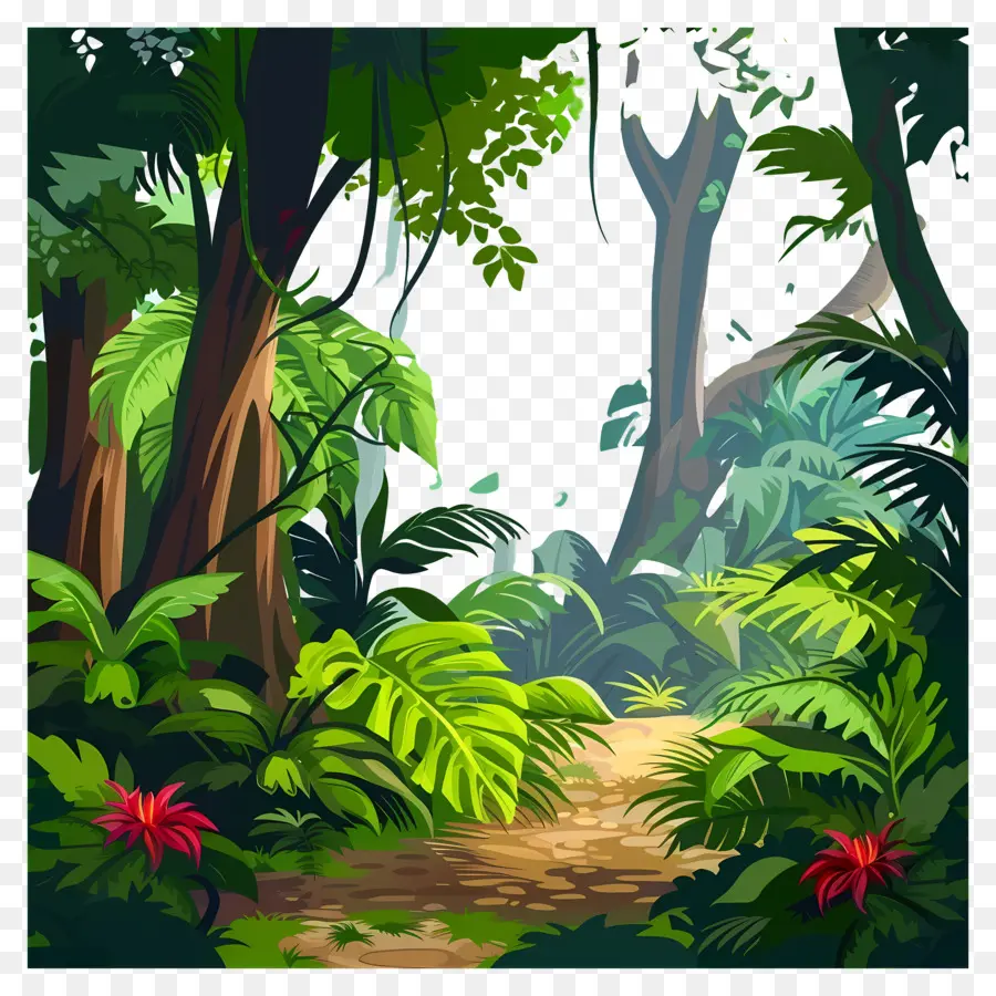 Fond De La Jungle，Jungle PNG