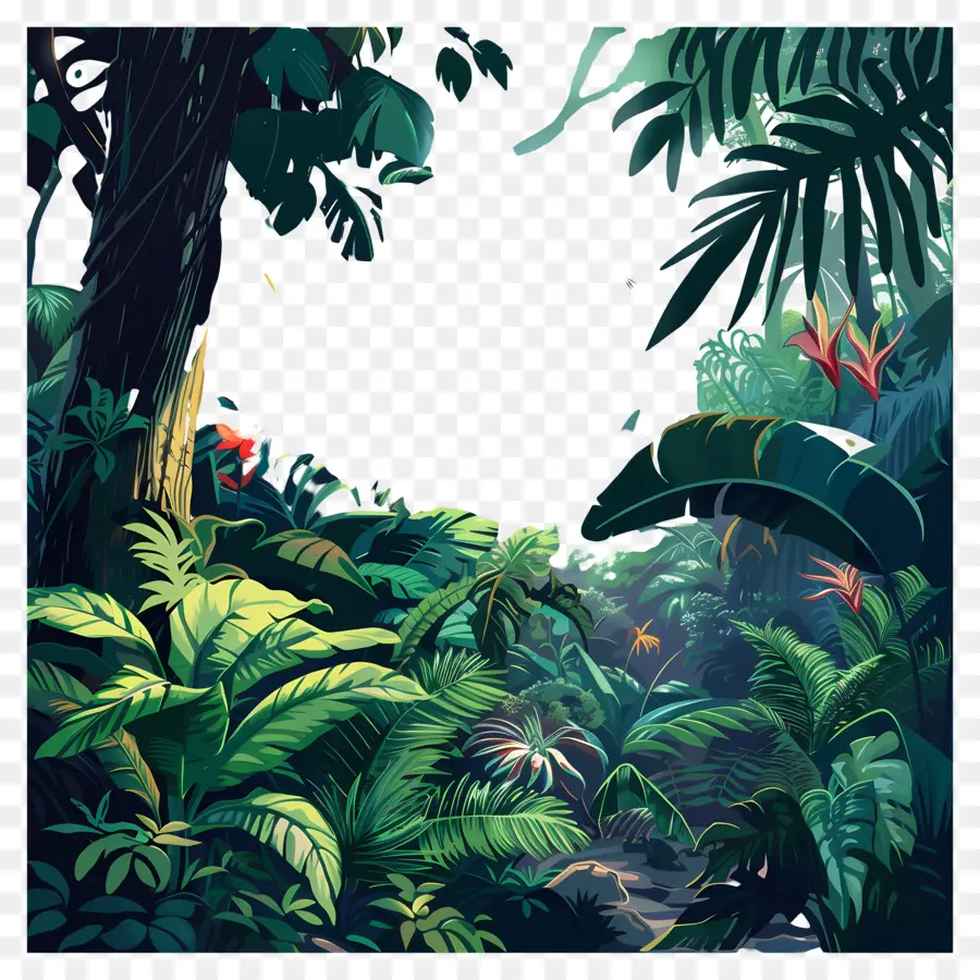Fond De La Jungle，La Jungle Tropicale PNG