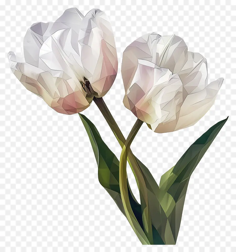 Art Numérique，Tulipes PNG