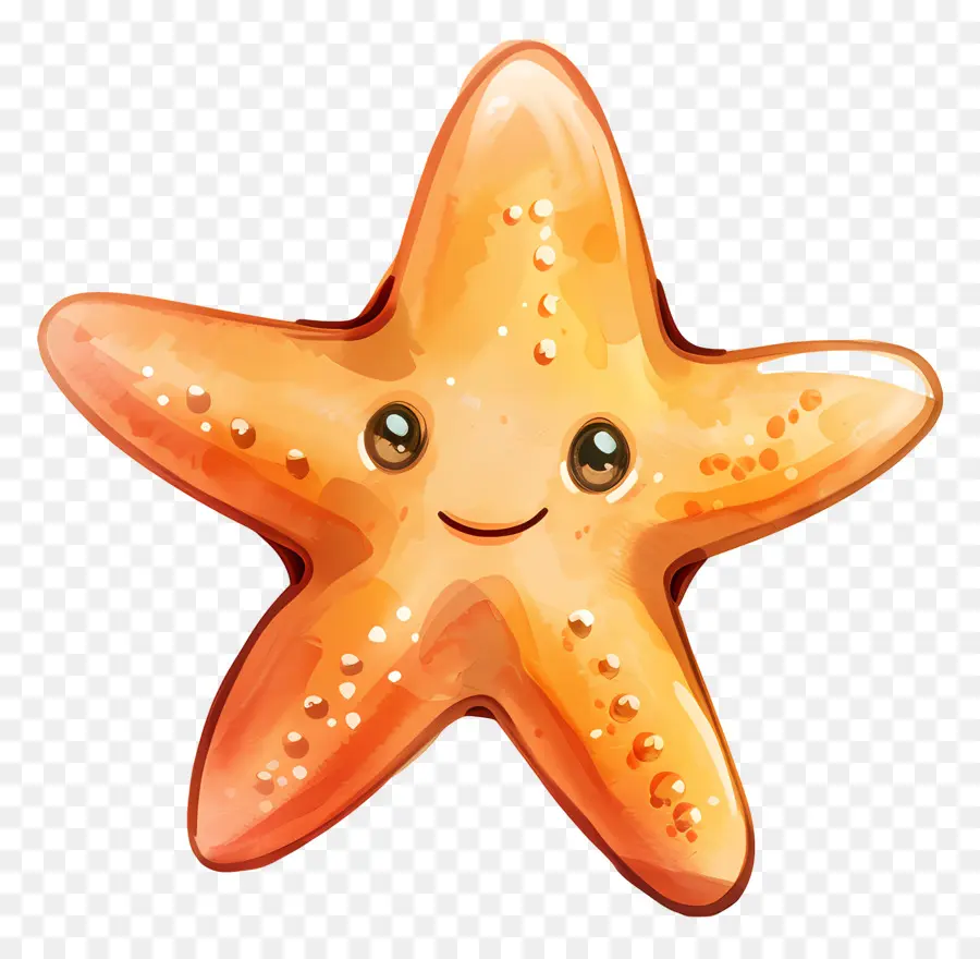 Mignon étoiles De Mer，étoile De Mer Animée PNG