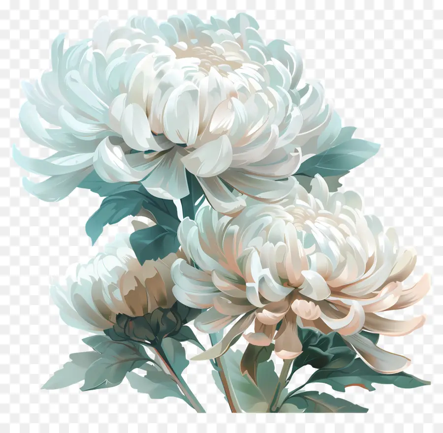 Numérique Fleur，Chrysanthèmes Blancs PNG