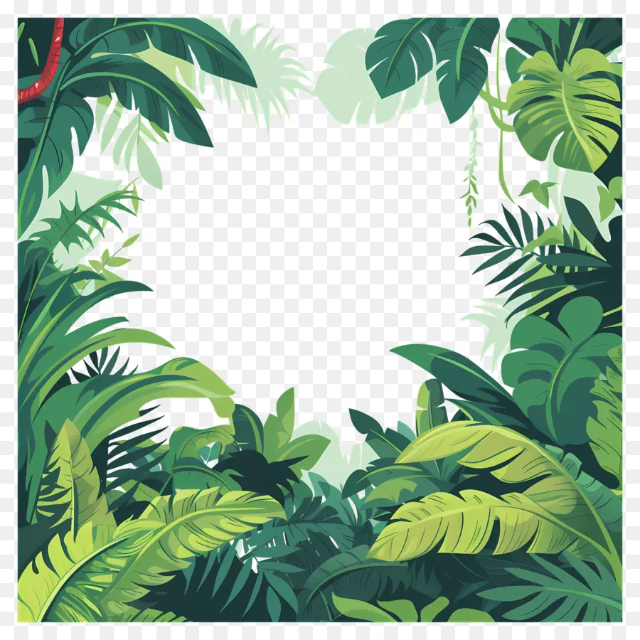 Fond De La Jungle，Tropical PNG