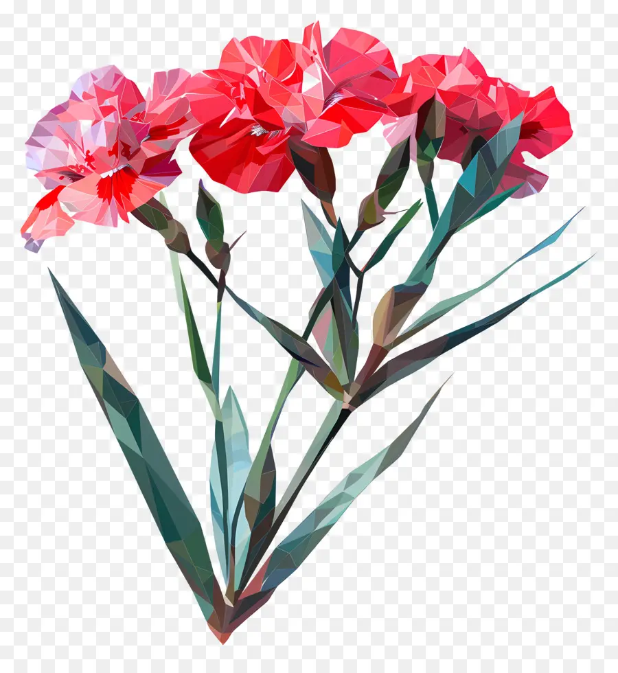 Numérique Fleur，Oeillets Rouges PNG