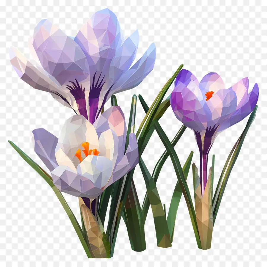 Numérique Fleur，Crocus Violets PNG