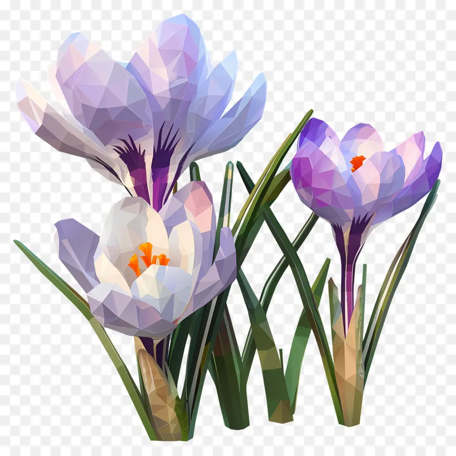 Fleur Numérique，Fleurs Blanches PNG