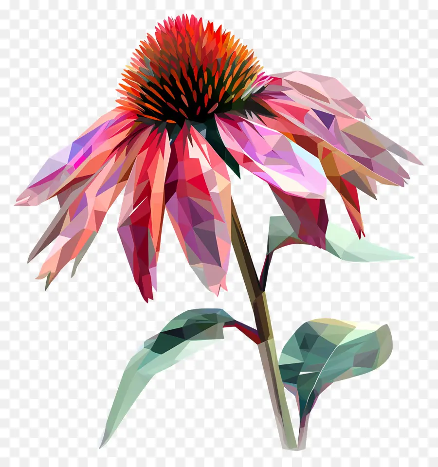 Fleur Numérique，Fleur Colorée PNG