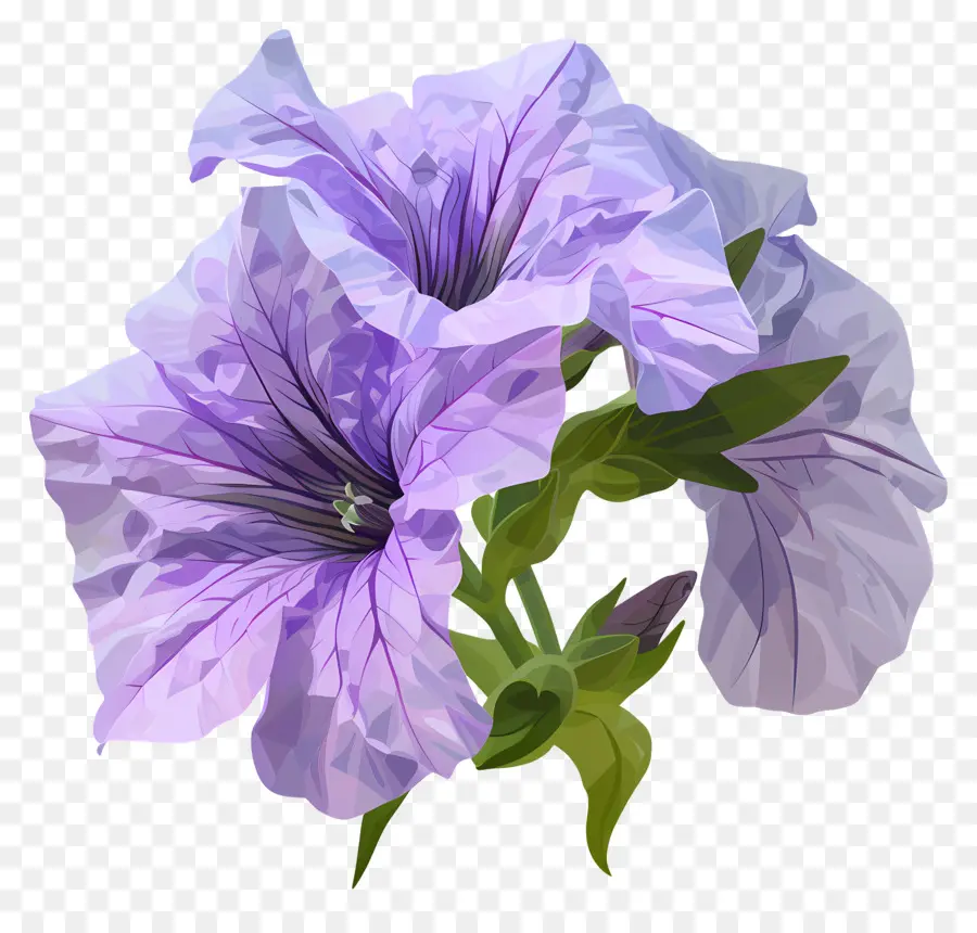 Art Des Fleurs Numériques，Fleur Rose PNG