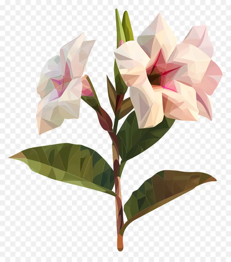 Art Numérique，Fleurs Blanches PNG