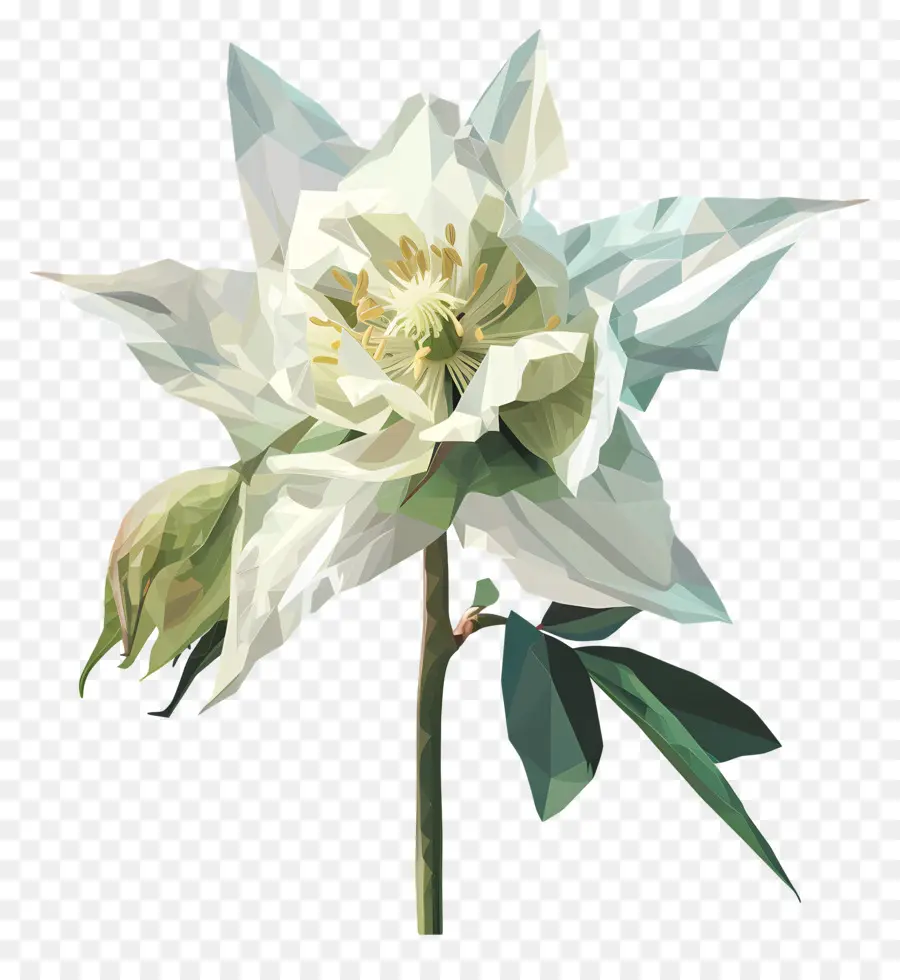 Numérique Fleur，Lys Blanc PNG