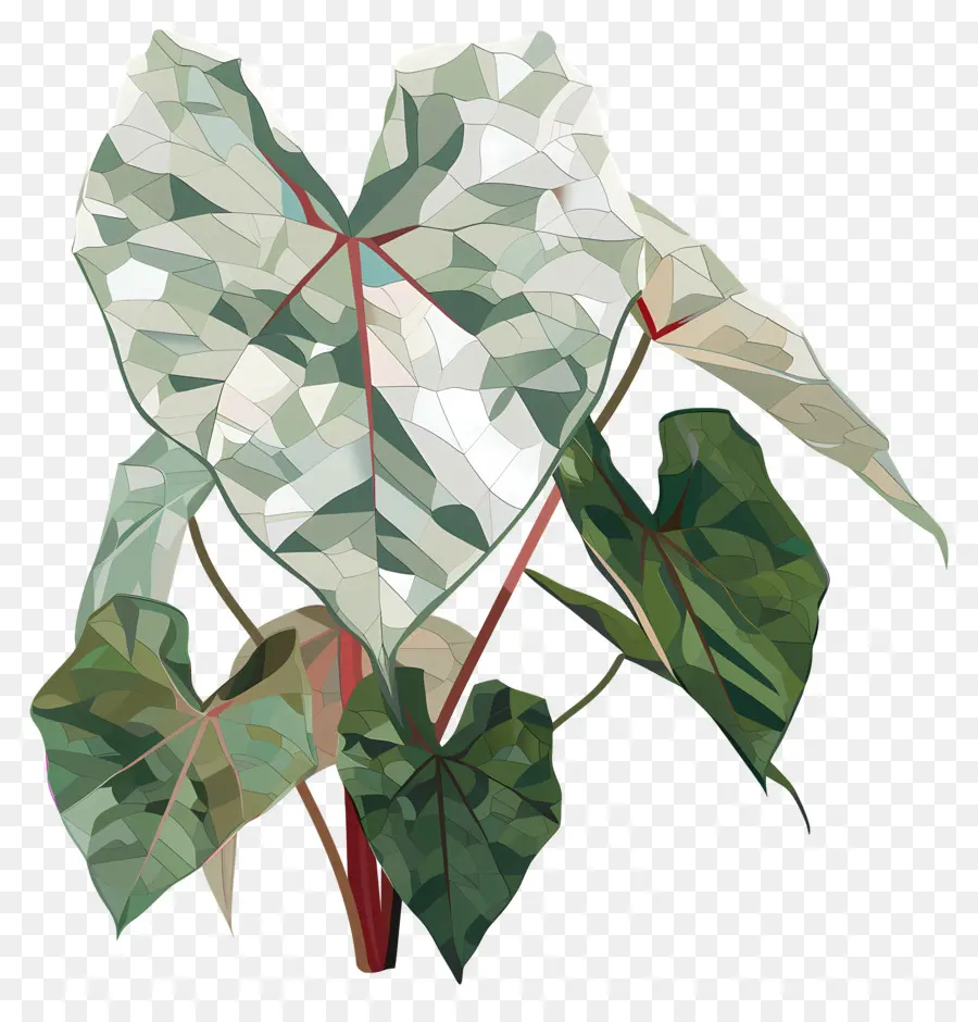 Fleur Numérique，Plante Verte PNG