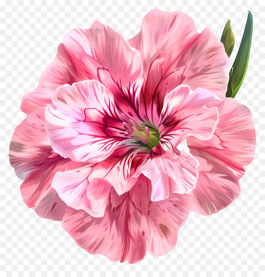 Art Des Fleurs Numériques，Fleur Rose PNG
