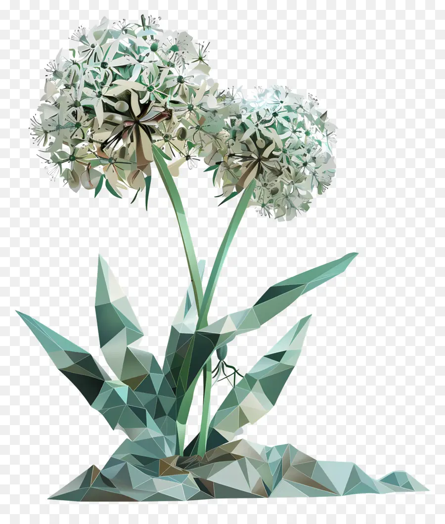 Fleur Numérique，Fleurs Blanches PNG